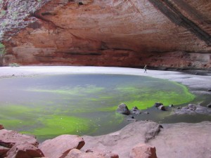 Bungle Nationalpark-103